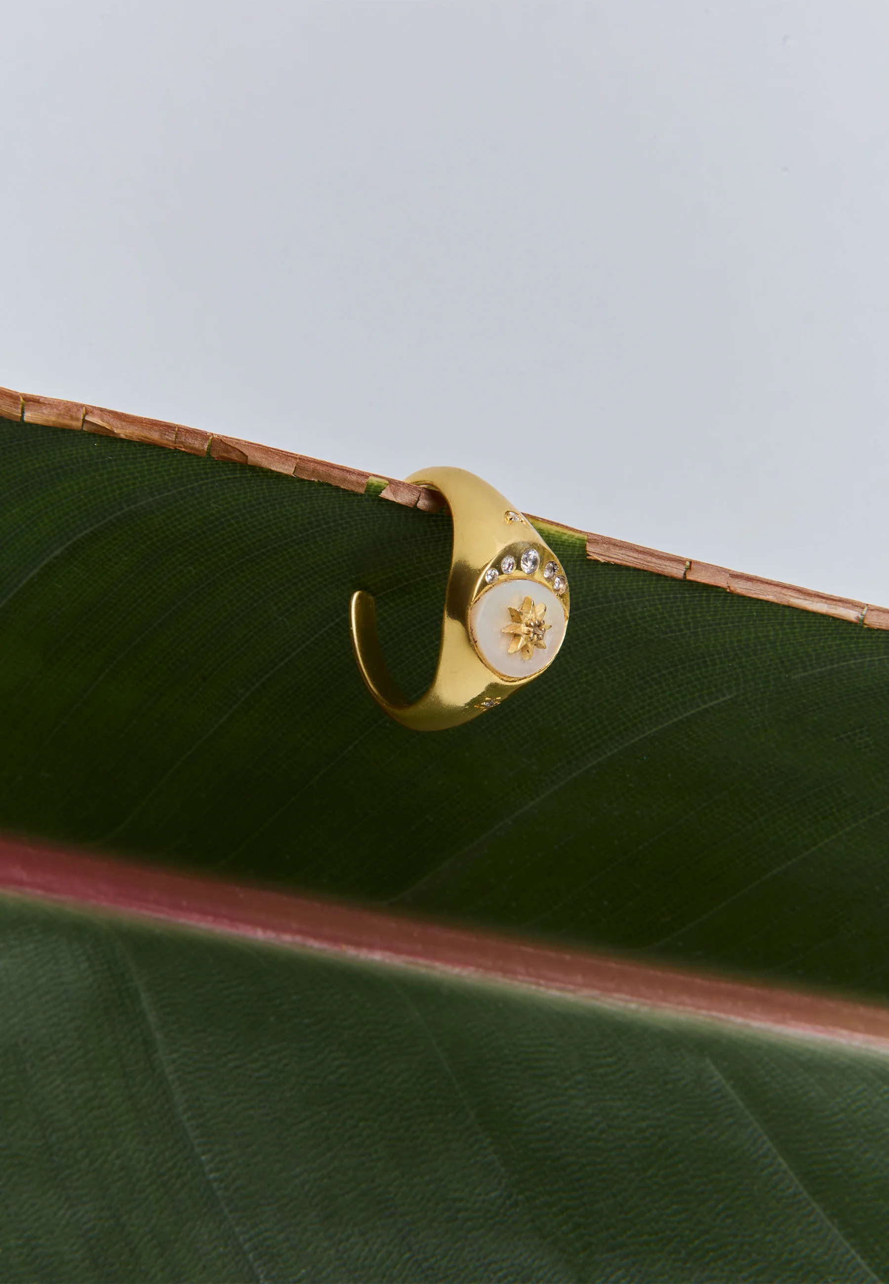 Anillo Celestial Signet - Image 6