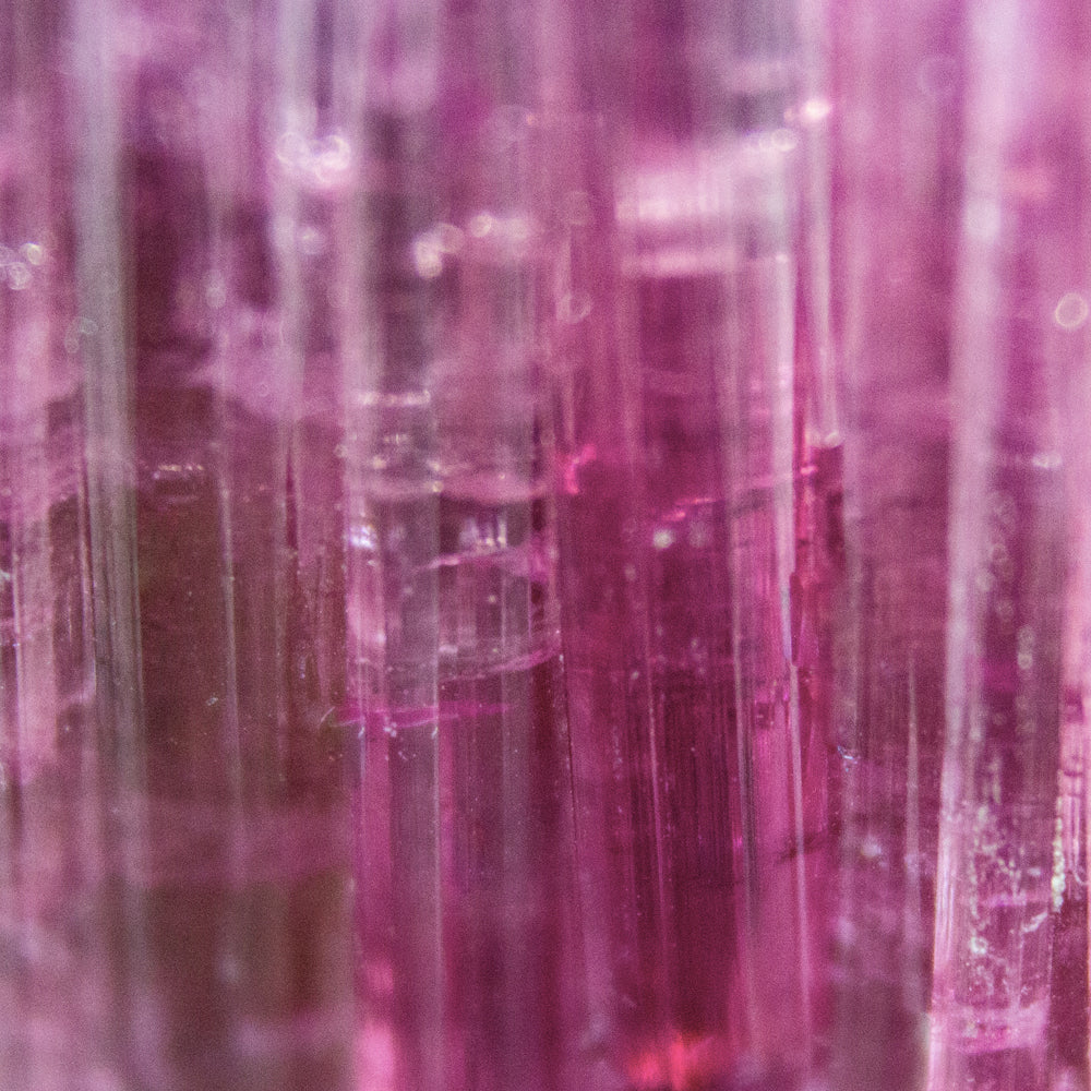 Anillo Chevalier Fucsia - Image 5