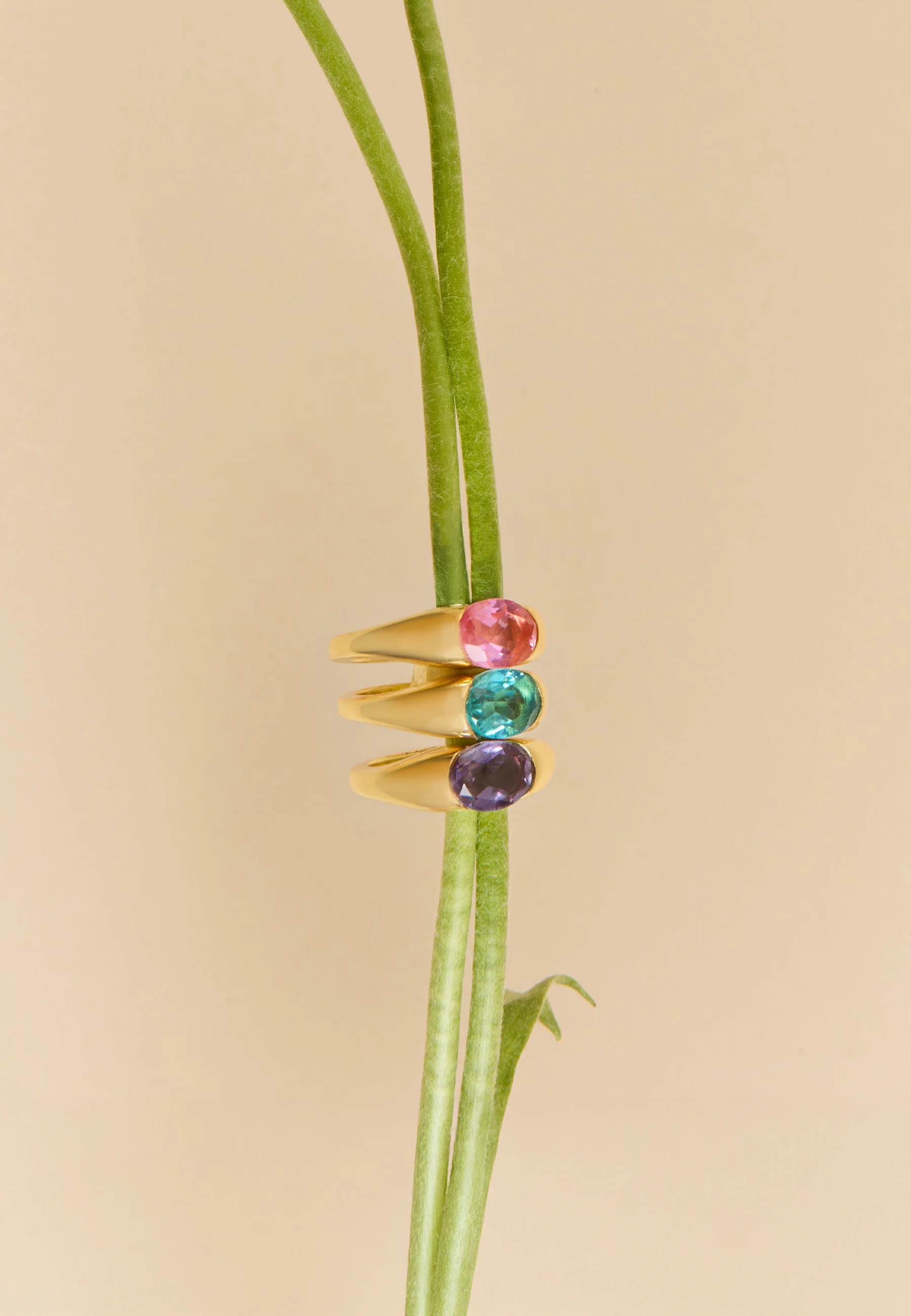 Anillo The Empress Morado - Image 5