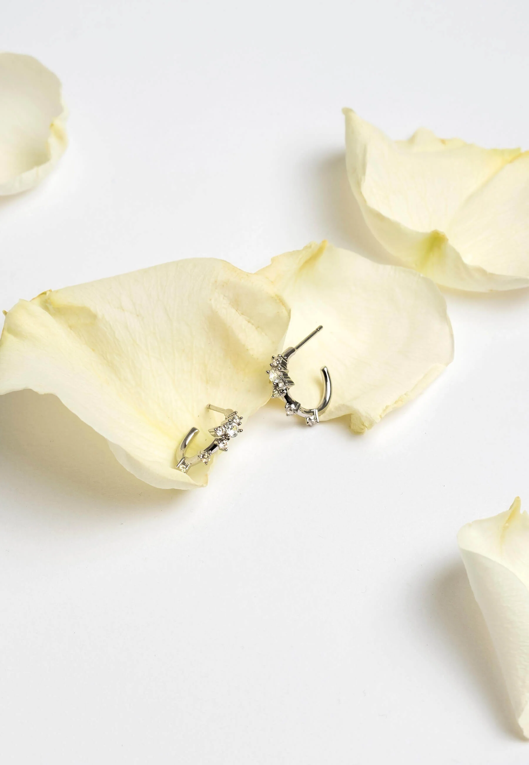 Aros Orchid Plata - Image 6