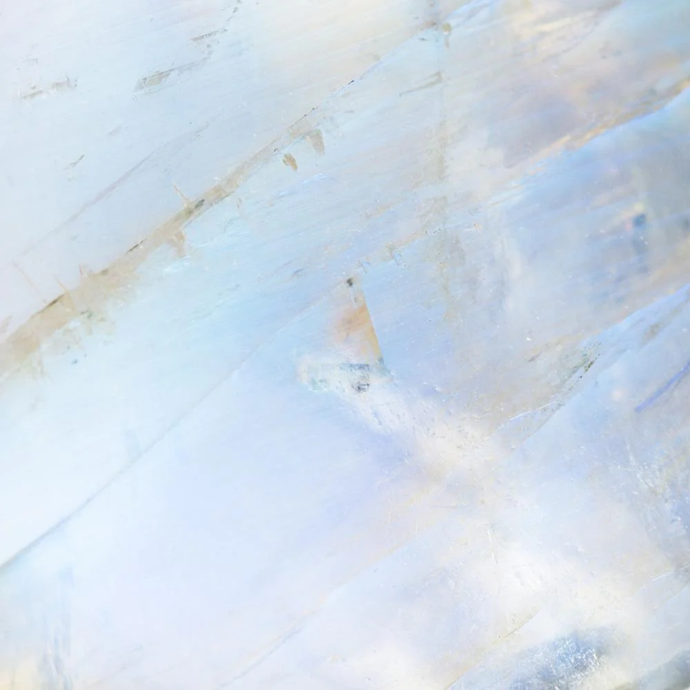 Collar Nirelle - Image 6