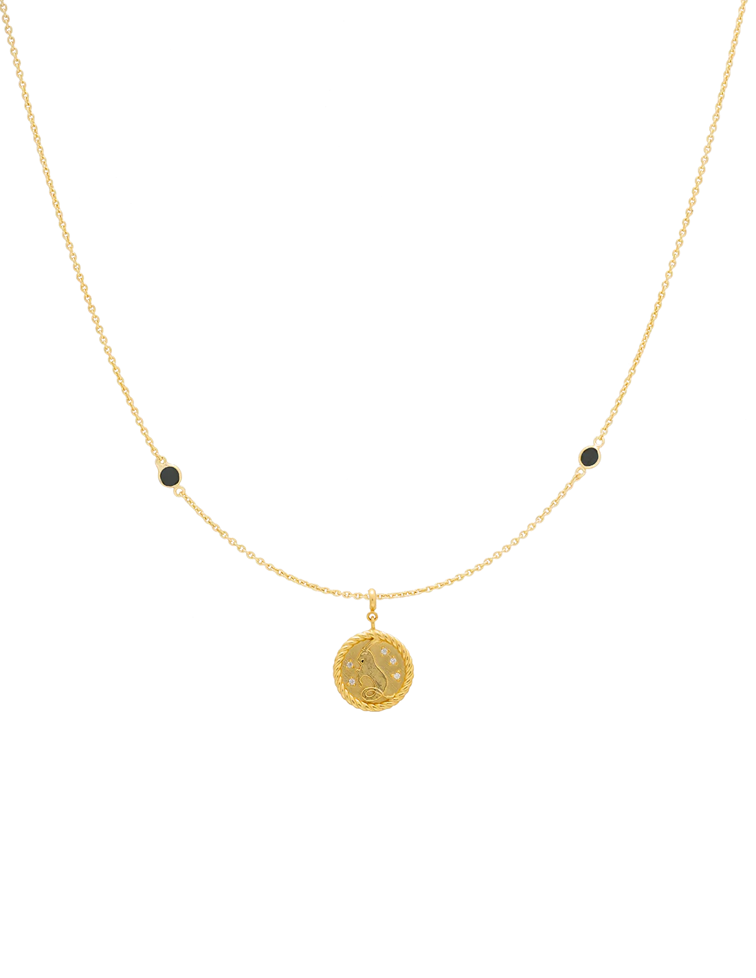 Collar Zodiaco Capricornio - Image 9