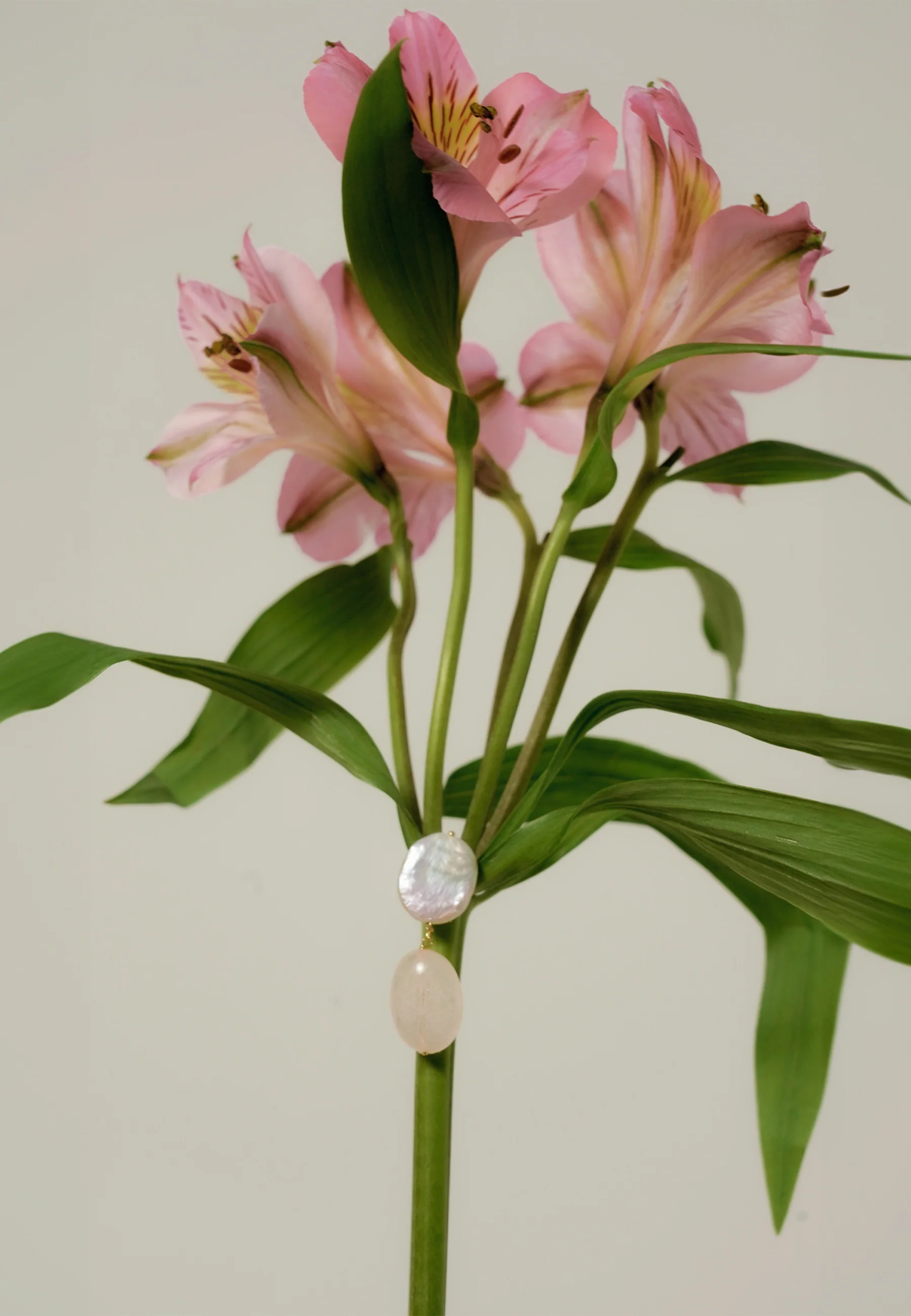 Pendientes Laia Perlas y Cuarzo Rosa - Image 3